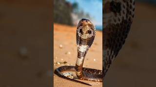 Dont You Know? Resimi