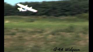 Raw Performance: ElectriFly® G-44 Widgeon Seaplane ARF