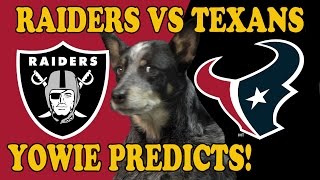 RAIDERS vs TEXANS - Dog Predicts Super Bowl Playoffs 2017