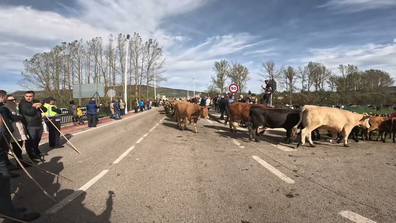 FERIA DE REQUEJO 2024