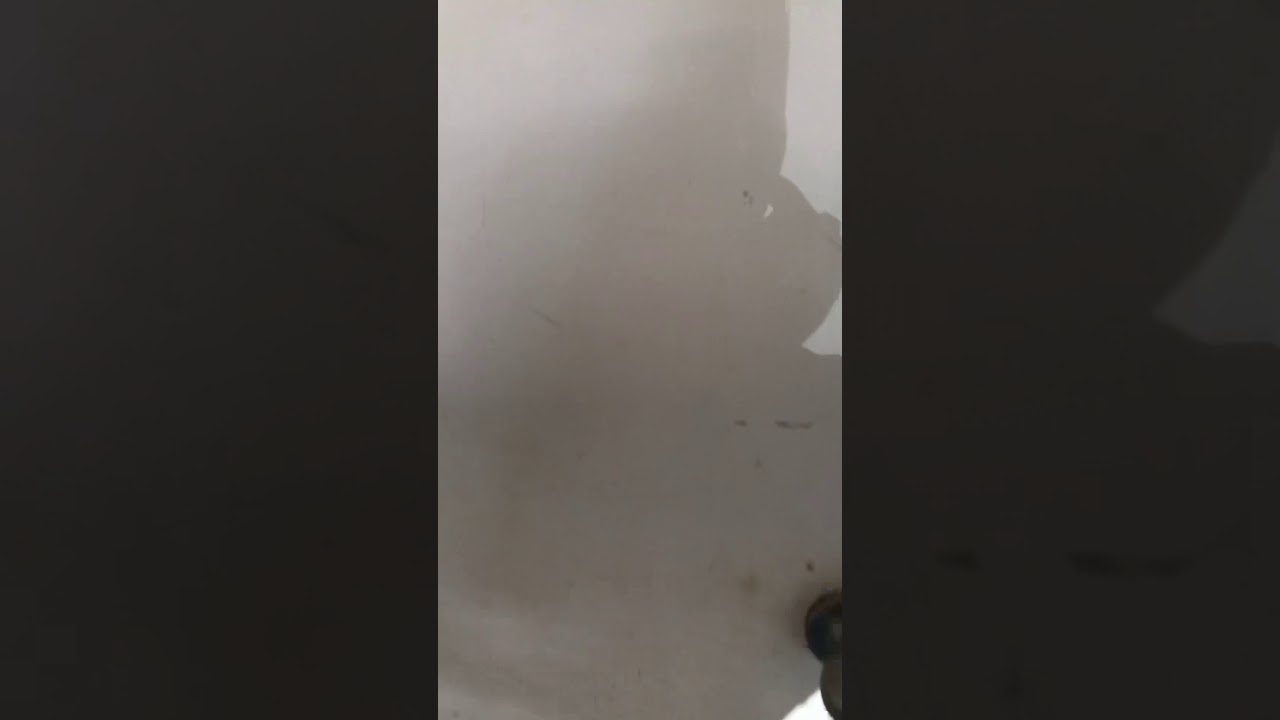 Ozone Shock Treatment for Downers grove home today