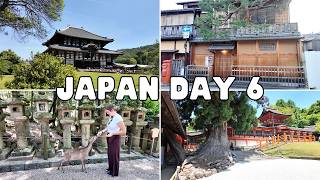 Japan Day 6: Wild Deer in Nara Park, Giant Buddha, Nishiki Market, Japanese Woodblock Prints & Gion