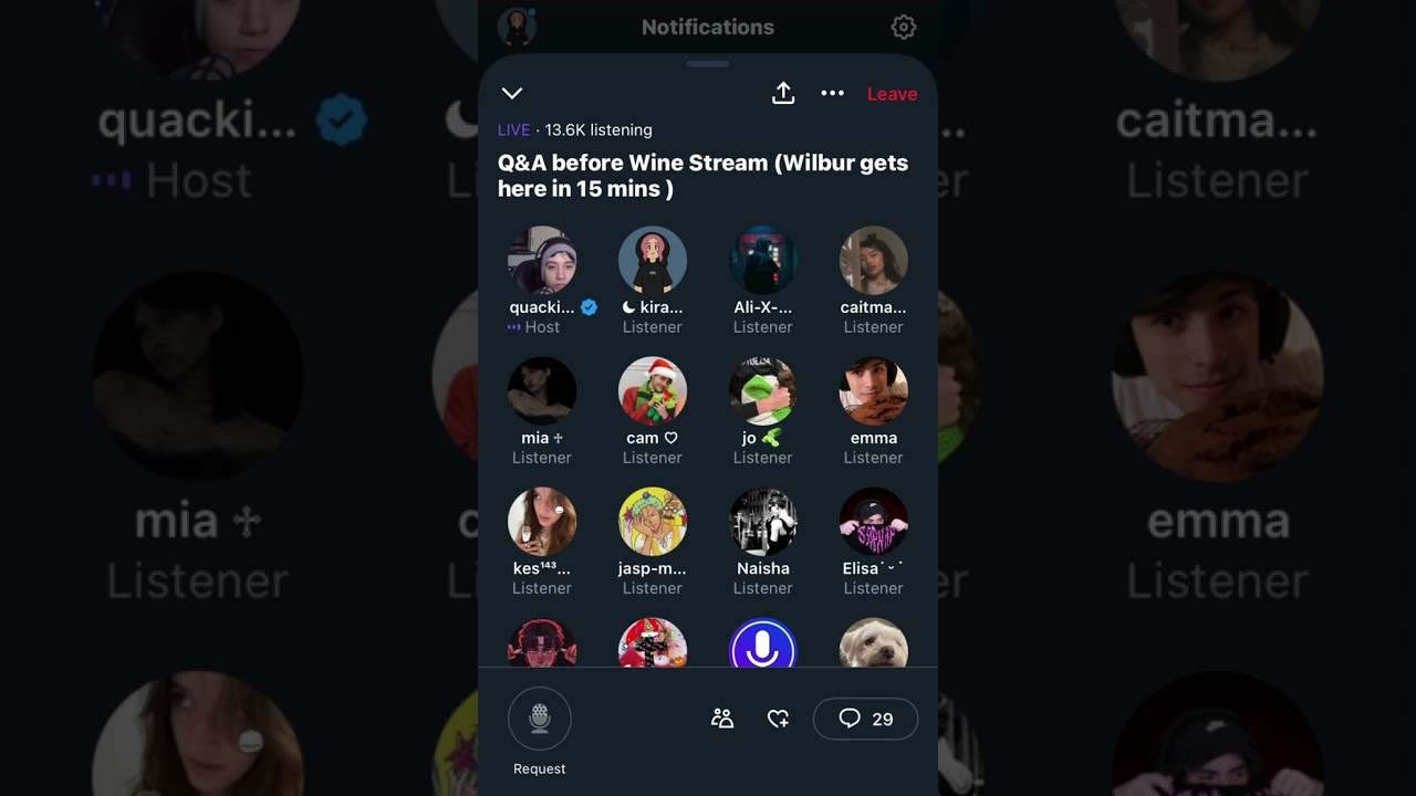 quackity’s alt twitter space 12/15/22