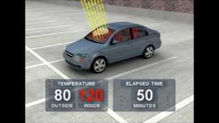 Car Heating Up Video