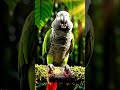 #Shorts A Magical Bird Singing Moment #Birds #Nature #BirdSong #Wildlife