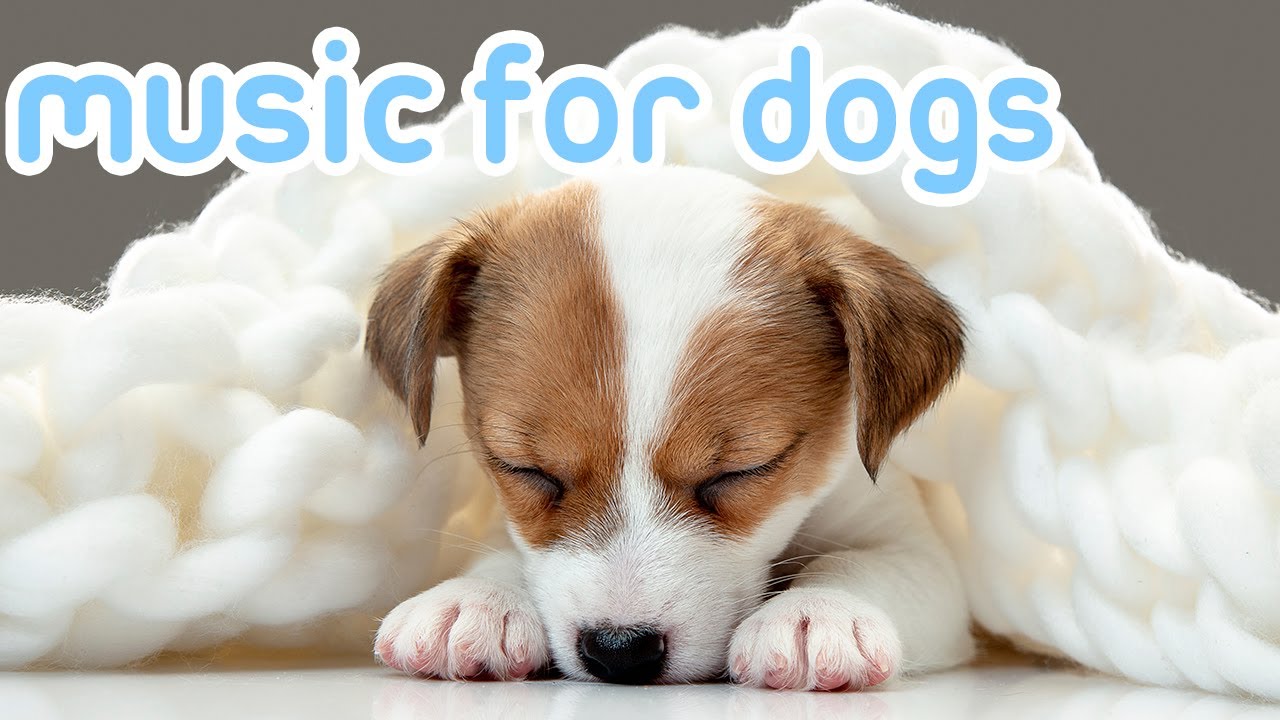 ⁣Deep Separation Anxiety Music for Dogs | Helped 20 Million Dogs Worldwide!