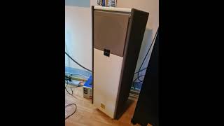 "BiG Audio System" Serbona Blondy and Serbona Black Lady ( Speakers,Made in Serbia )