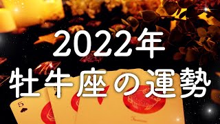 【2022年の運勢】牡牛座のあなたに起こること🌟怖いほど当たる😳💭💭恋愛・仕事・人間関係🌟タロット占い&オラクルカードリーディング🔮