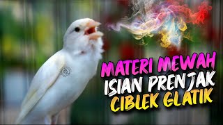 MASTERAN KENARI ISIAN CIBLEK PRENJAK GLATIK buat PANCINGAN KENARI PAUD ISIAN MEWAH