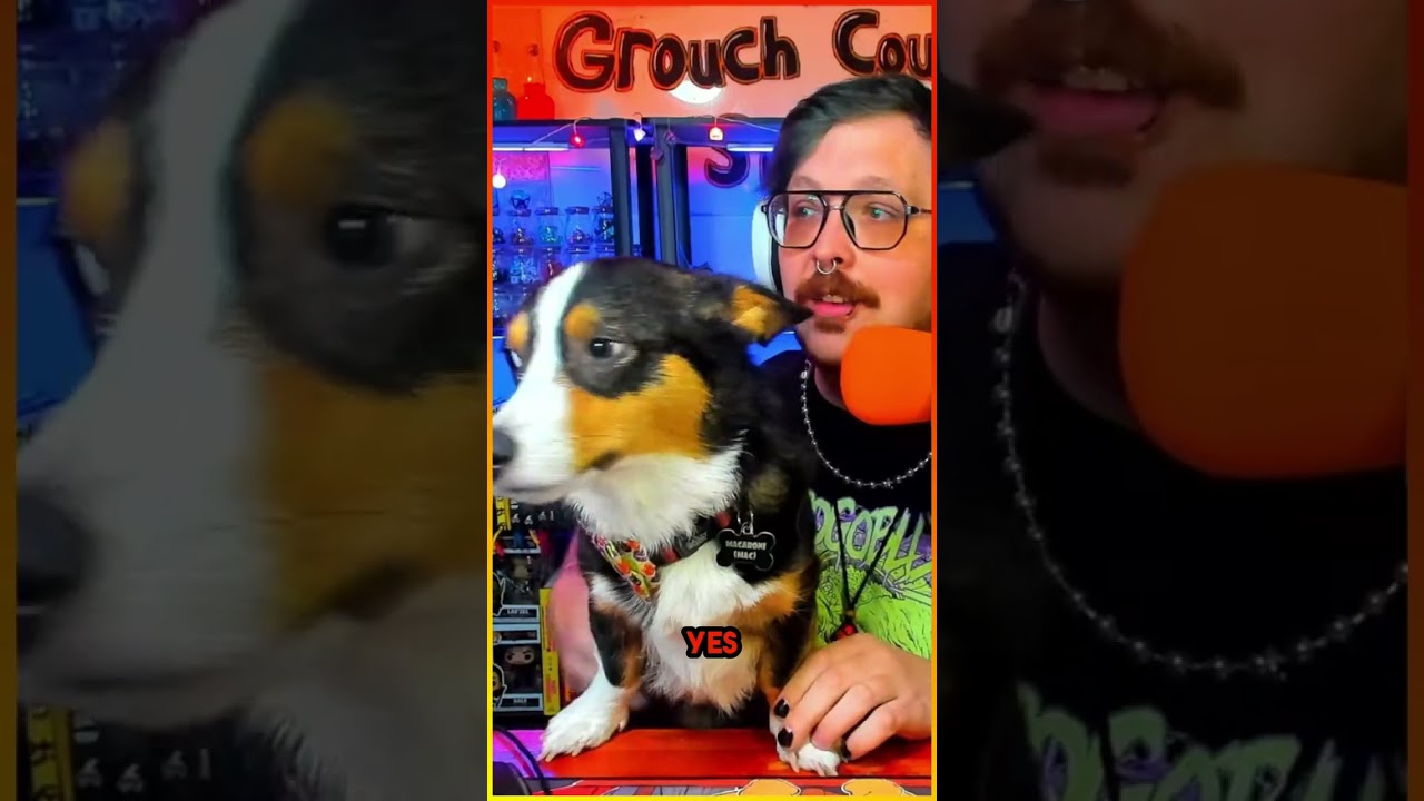 Mandatory Corgi Tax