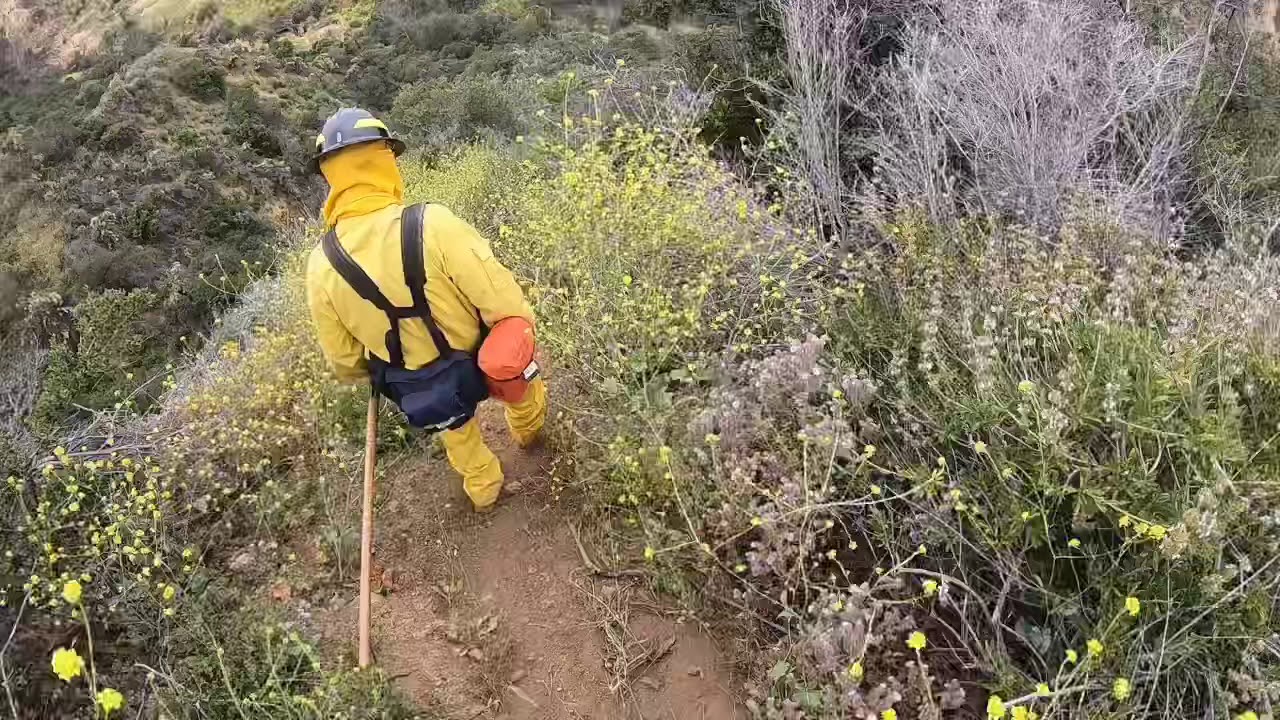 Wildland Fire Shelter Deployment