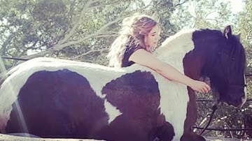 How To: Teach Your Horse to Lay Down Naturally. No ropes! Teach the horse a natural lay down.