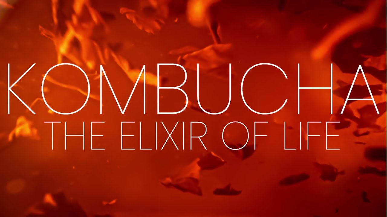 Kombucha: The Elixir Of Life - Teaser Trailer