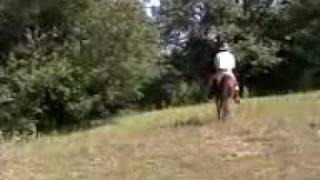 VTS 01 1 mpeg4