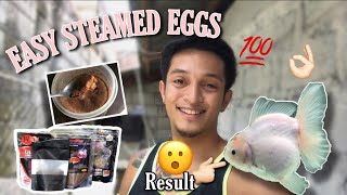 BEST STEAMED EGG FOR GOLDFISH GROOMING and other fishes