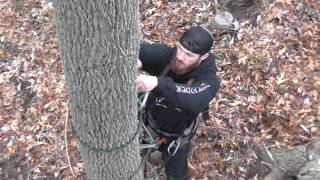 STEPP LADDER TREE SADDLE by Wild Edge Inc.