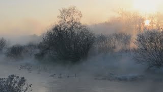 大寒、川霧にハクチョウ 北海道帯広市