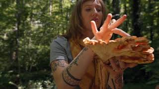 Asheville, N.C. - Go Exploring Exploring in the Blue Ridge Mountains!