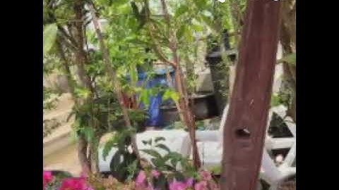 天堂練歌房-《愛江山更愛美人》