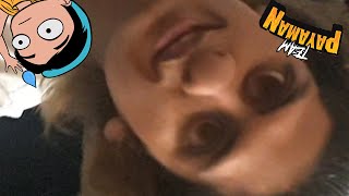 Full Sequence 01.MOV News