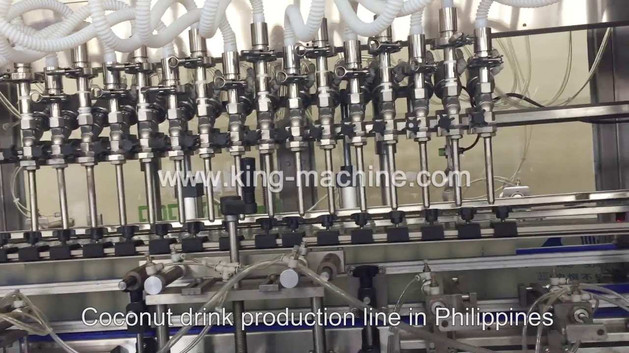 Coconut  juice drink production line installed successfully in Philippines