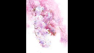 Cherry Blossoms in Watercolor