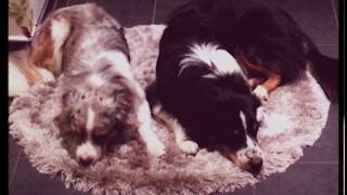 Mrs. Greenbird - One Day in June - Lyric Video