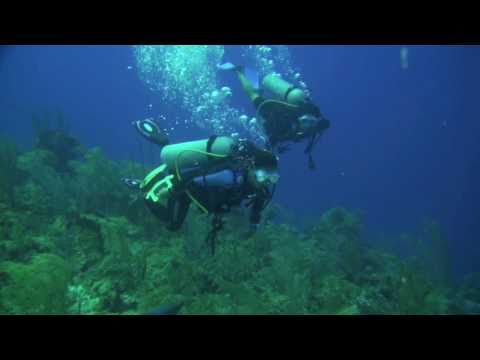 Trampa Tortuga,  San Andrés Islas. Colombia