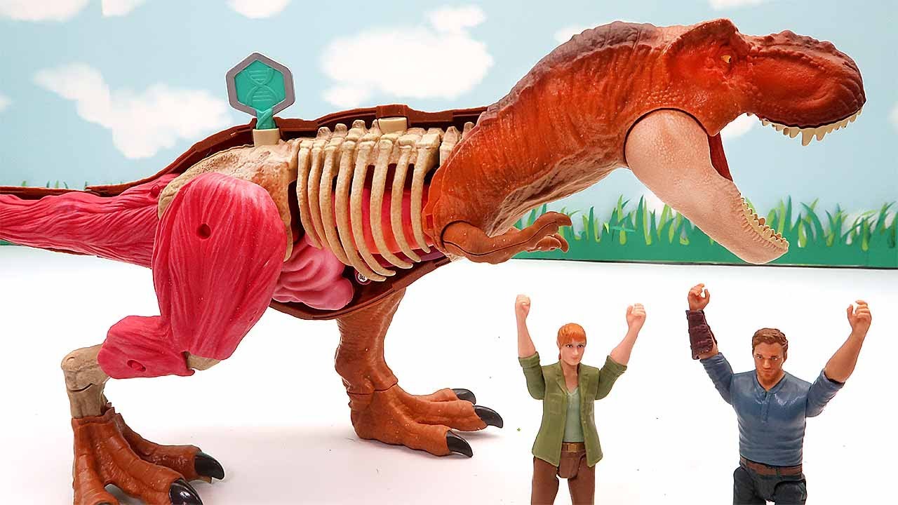 Dinosaur Anatomy Set! Tyrannosaurus Bone Is Lost Dinosaur For Kids