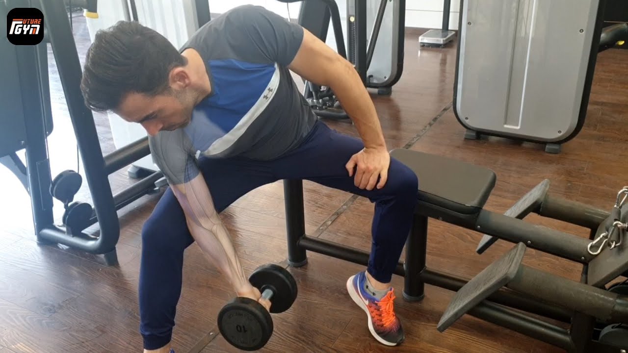 Assisted Dumbbell Concentration Curl - YouTube