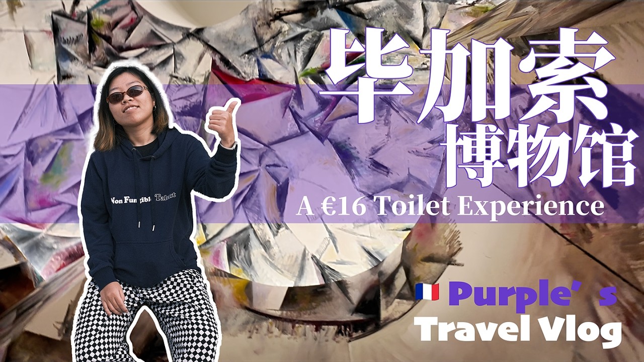 这可能是巴黎最贵的“免费”厕所：毕加索给我的法式惊吓 | The Most Expensive 