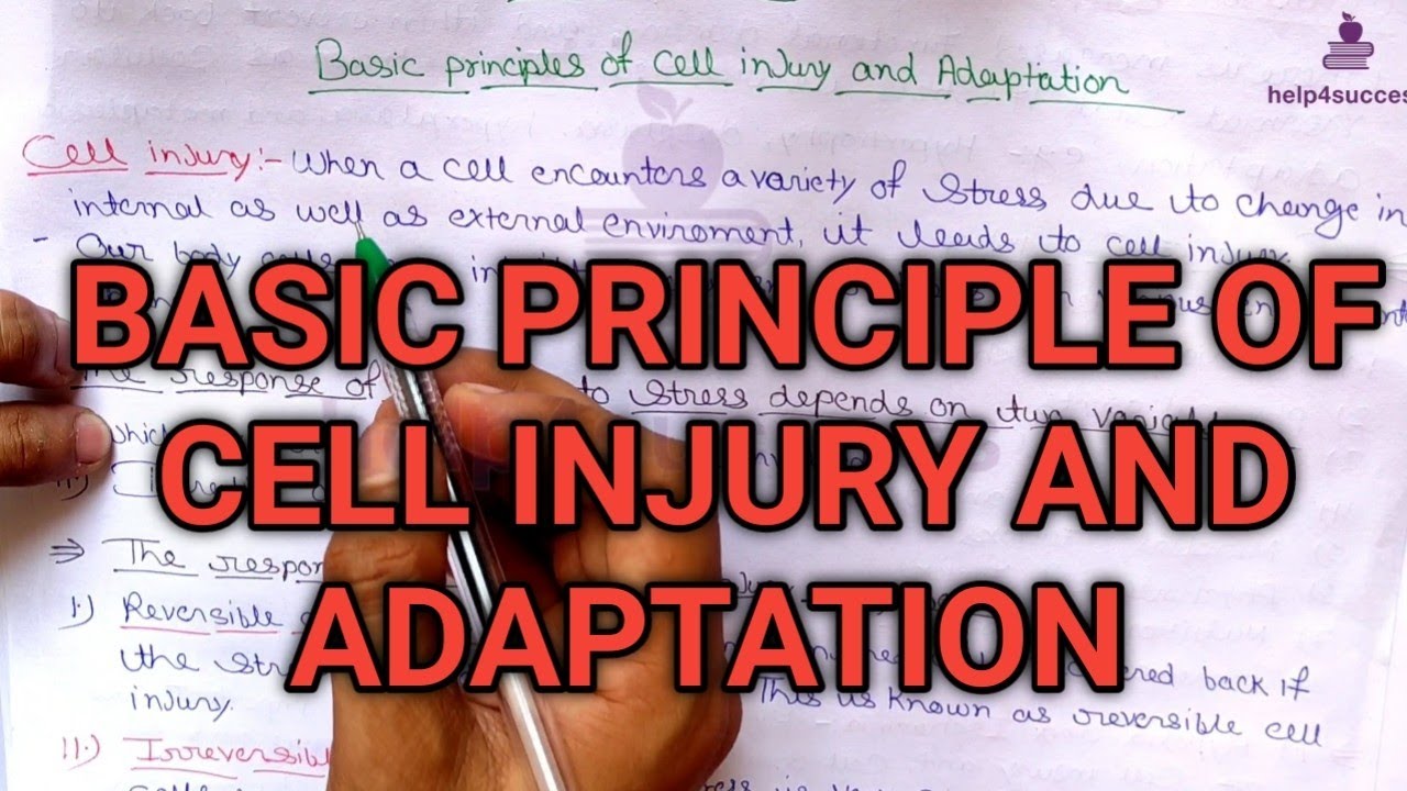 Basic principles of cell injury and adaptation part-1 simple notes ...