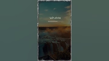 وَهُمْ يَصْطَرِخُونَ فِيهَا رَبَّنَا أَخْرِجْنَا نَعْمَلْ صَالِحًا🌧♥️#قرآن#تلاوة_خاشعة#سورة_فاطر