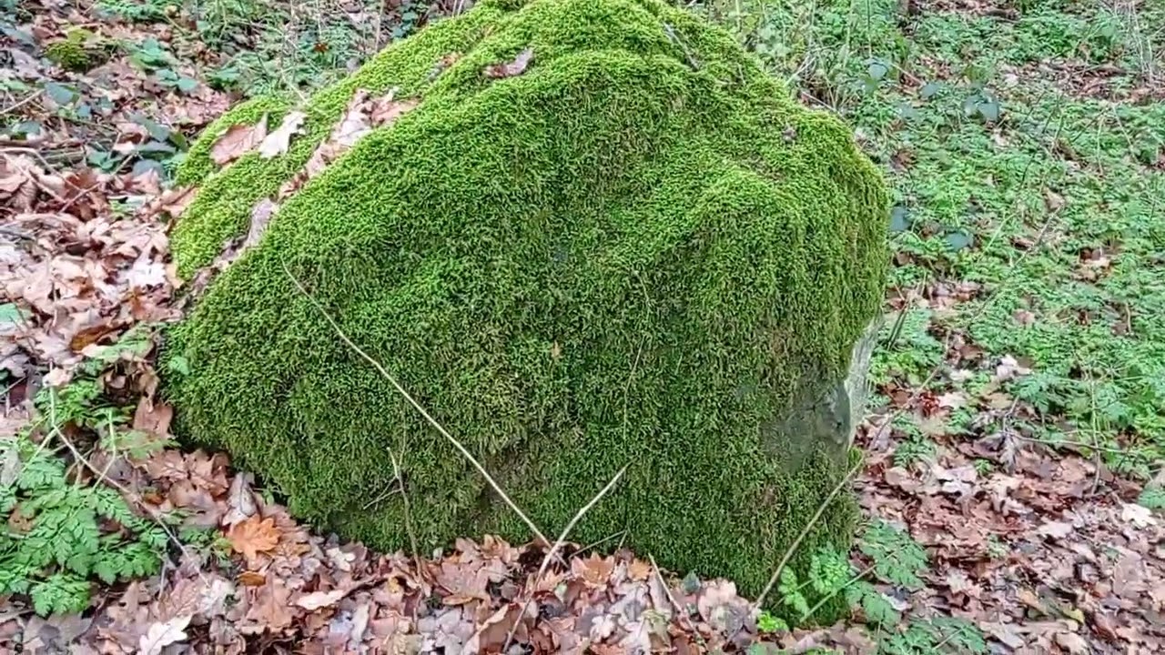 Maxkar Trikuharri (Dolmen), Lizaso / Ultzama, Navarra, España.
