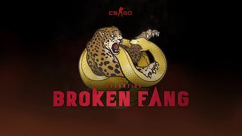 CS:GO - Operation Broken Fang - Through the looking glass