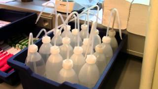 Intro Voor Youtubekanaal Aangepaste Versie