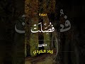 سورة فصّلت | ٤١ | اكتب كلمة طيبة تكون مأجورا عليها إن شاء الله #القرآن تلاوة #سورة_فصّلت