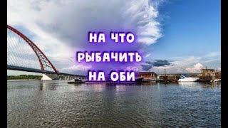 На что рыбачить на Оби  в Новосибирске ?