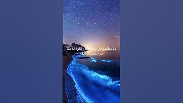 سورة المدثر - شريف مصطفى