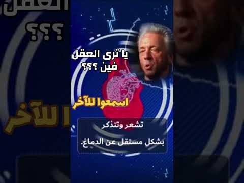 قلبك ولا عقلك هما فين أصلا