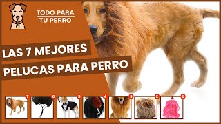 Pelucas Para Perro Descubre Las 7 Mejores Del 2022