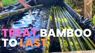 Treat Tons of Bamboo...AT THE SAME TIME!!!