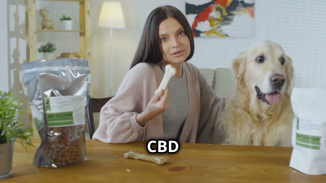 How CBD Dog Treats Help with Noise Anxiety (Thunderstorms & Fireworks) | Pet Hemp Company