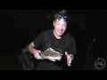 Giant Glowing African Bugs : 5 Weird Animal Facts : AnimalBytesTV