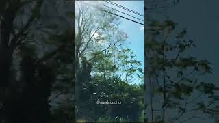 Chaguaramas Trinidad #trinidadandtobago