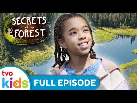 The Great Big Boreal SECRETS OF THE FOREST Eco Adventures Across Canada TVOkids 