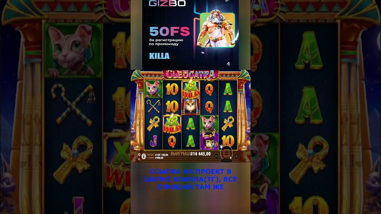 кошечки подкинули монетки на ход ноги #шортс #slot #занос #casino #win ...