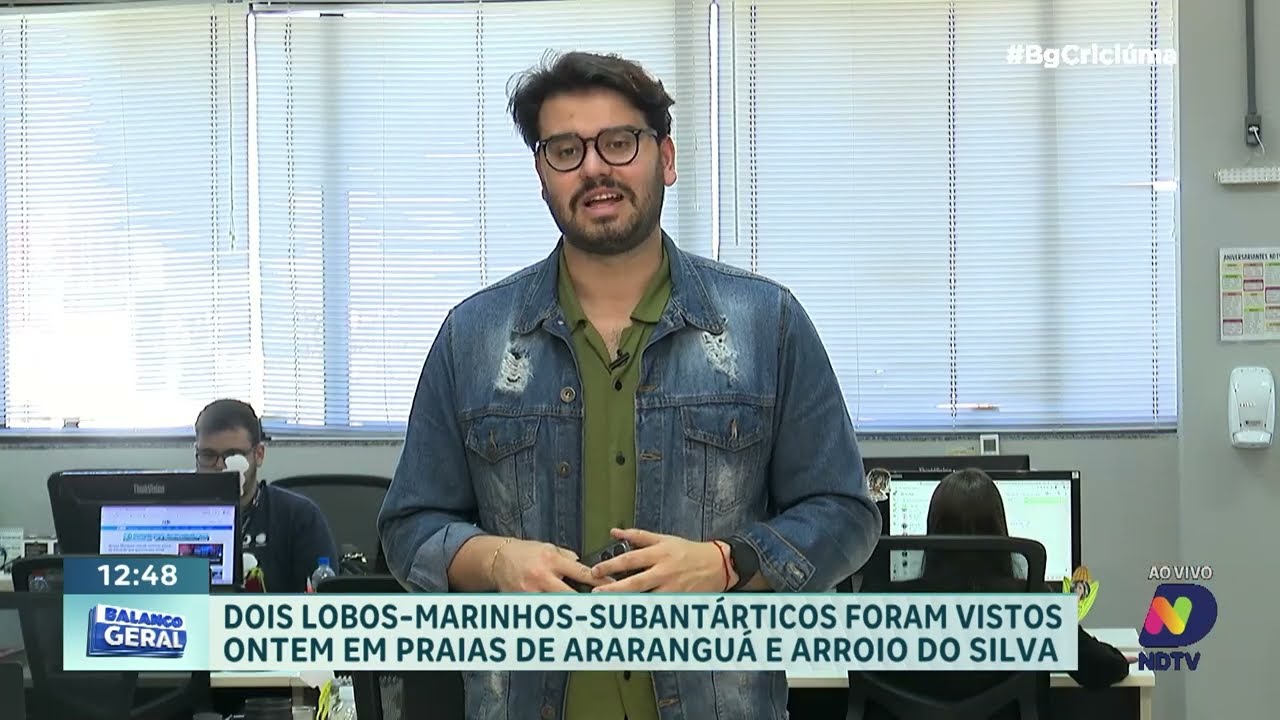 Lobos-marinhos são vistos em praias de Araranguá e Arroio do Silva - QTU Questões do Universo