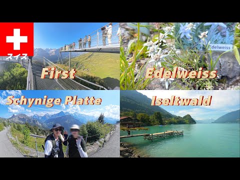 【🇨🇭スイス#1-7】フィルスト/イゼルトヴァルト/シーニゲプラッテ 夫婦旅