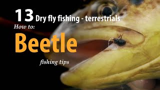 How to • Dry fly fishing - Terrestrials • Beetle • fishing tips